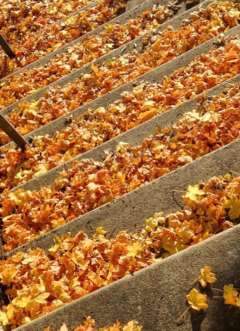 Farbenpracht auf der Treppe zur Kaister Kirche. Foto: Niklaus Stäuble