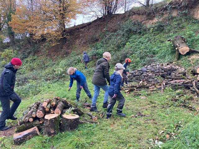 Erfolgreicher Naturschutztag des NVR in Rheinfelden. Foto: zVg